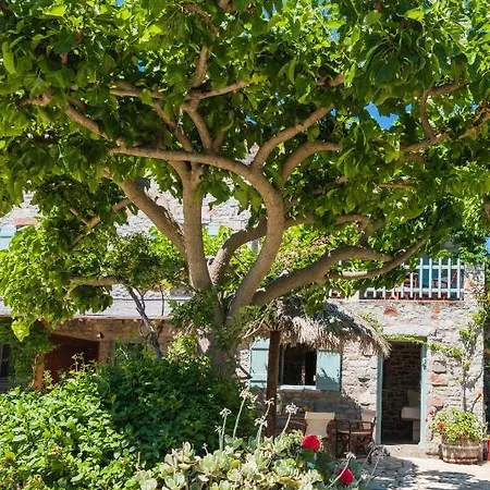Palaeopoli Guest house Avlemonas