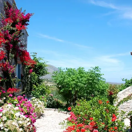 Palaeopoli Guest house 3*